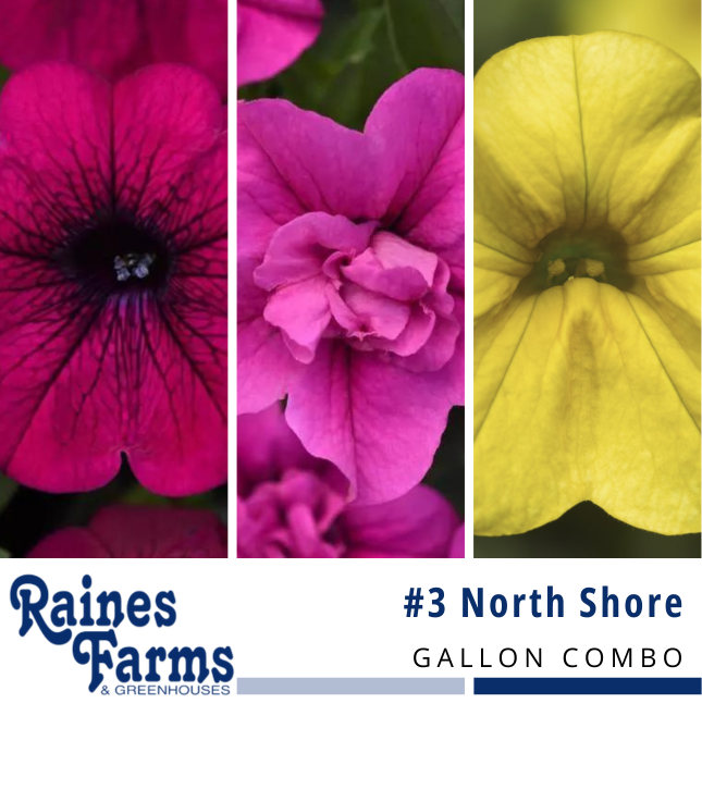 #3: North Shore Gallon Combo Pot